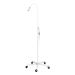 Focus Lamp 8